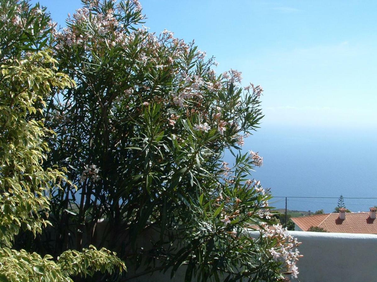 Casa Los Vinedos B Fuencaliente de la Palma Ngoại thất bức ảnh